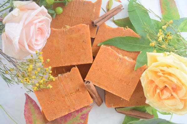 Citrus Spice Bamboo Soap