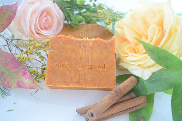 Citrus Spice Bamboo Soap
