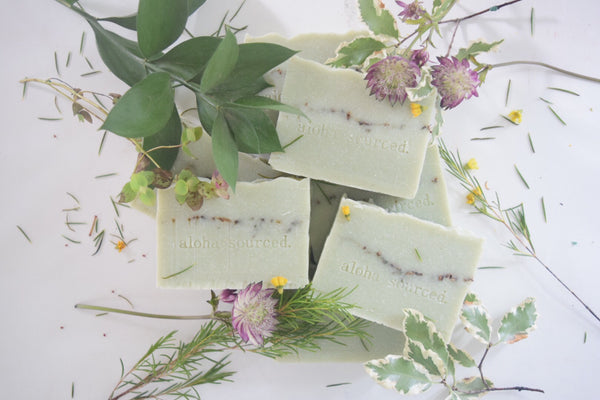 Winter Spruce Bamboo Soap