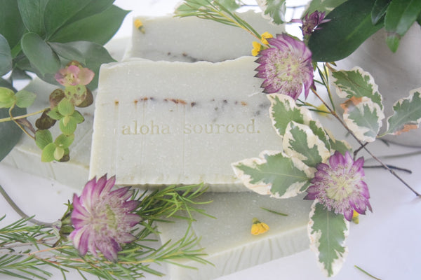 Winter Spruce Bamboo Soap